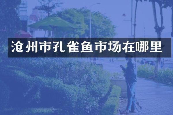 沧州市孔雀鱼市场在哪里