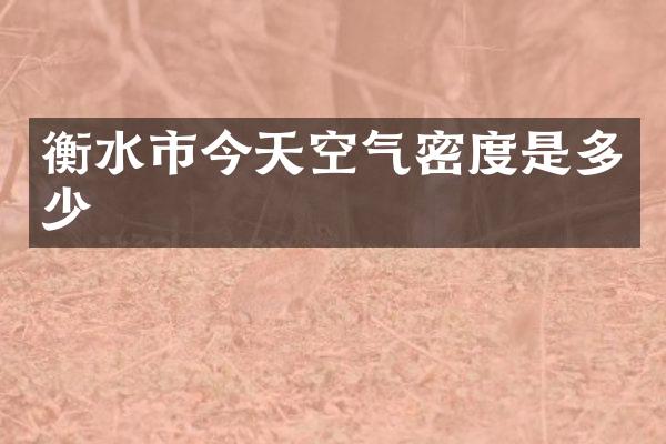 衡水市今天空气密度是多少