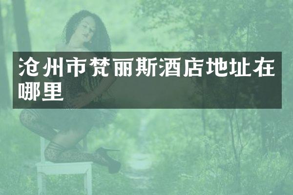 沧州市梵丽斯酒店地址在哪里