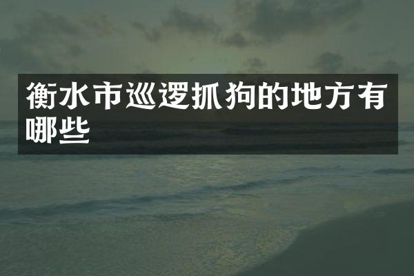 衡水市巡逻抓狗的地方有哪些