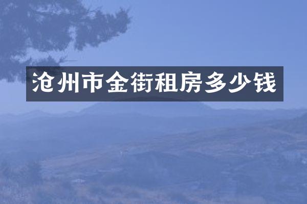 沧州市金街租房多少钱