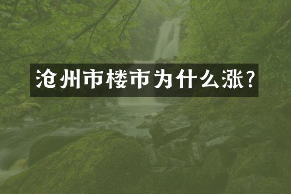 沧州市楼市为什么涨?