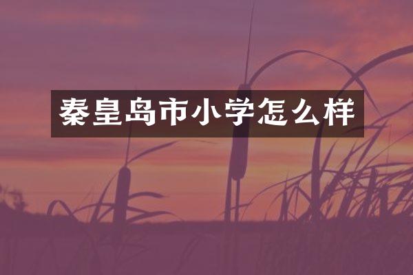 秦皇岛市小学怎么样