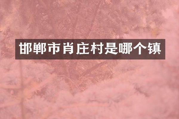 邯郸市肖庄村是哪个镇