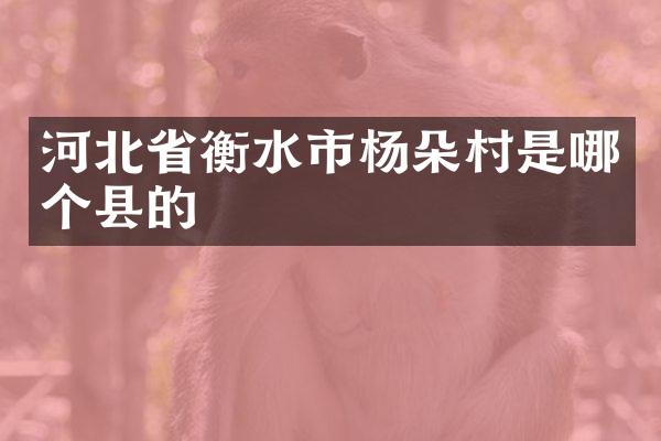 河北省衡水市杨朵村是哪个县的