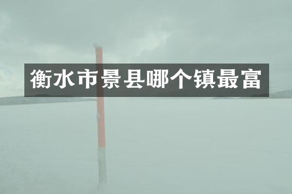 衡水市景县哪个镇最富
