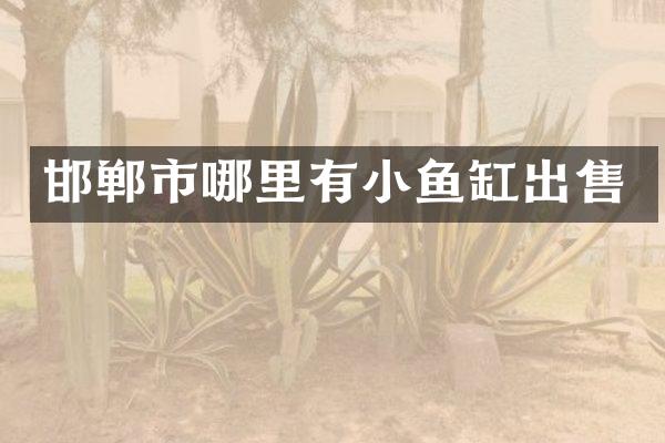 邯郸市哪里有小鱼缸出售