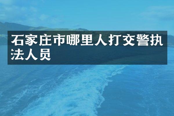 石家庄市哪里人打交警执法人员