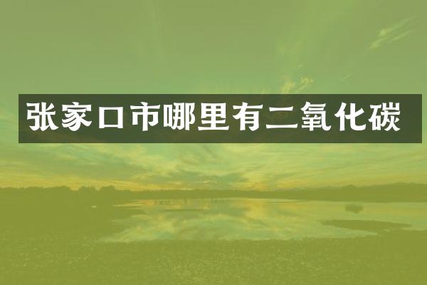 张家口市哪里有二氧化碳