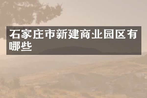 石家庄市新建商业园区有哪些