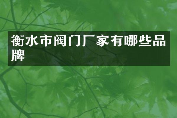 衡水市阀门厂家有哪些品牌
