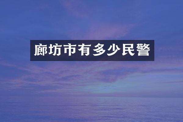 廊坊市有多少民警