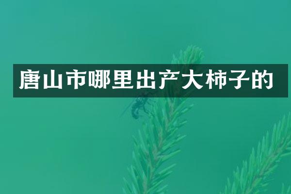 唐山市哪里出产大柿子的
