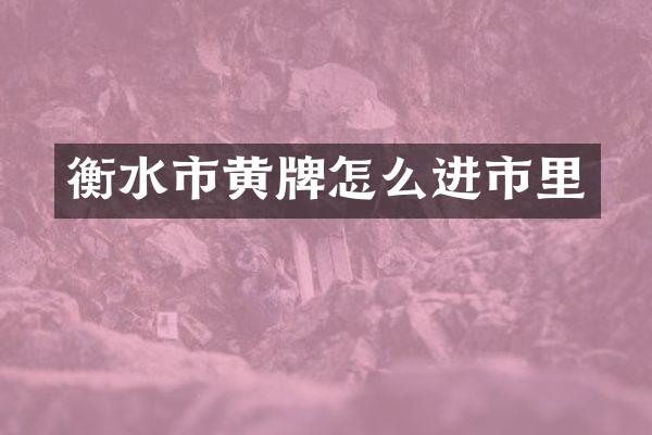 衡水市黄牌怎么进市里