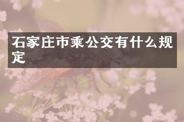 石家庄市乘公交有什么规定