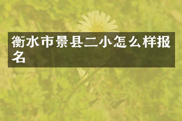 衡水市景县二小怎么样报名