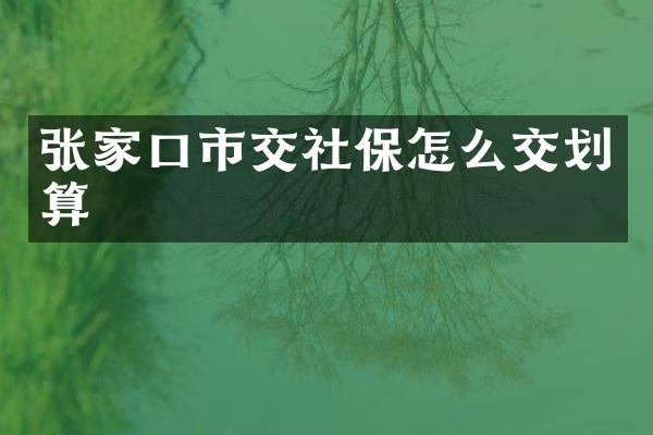 张家口市交社保怎么交划算