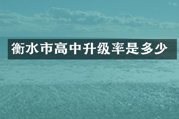 衡水市高中升级率是多少