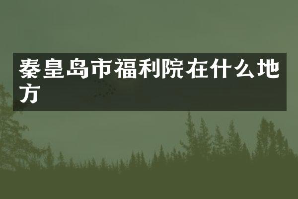 秦皇岛市福利院在什么地方
