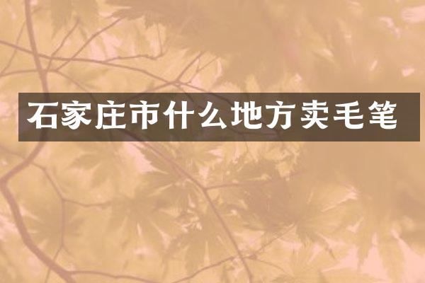 石家庄市什么地方卖毛笔