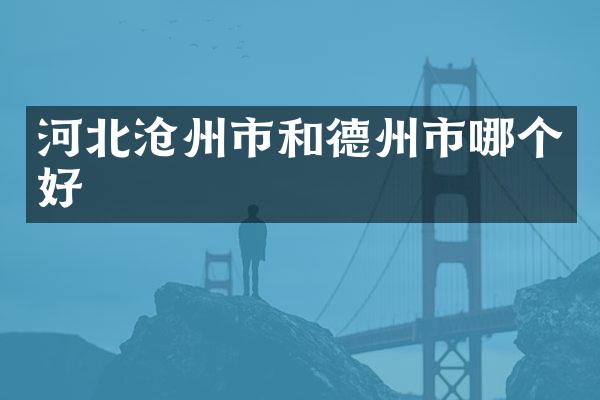 河北沧州市和德州市哪个好