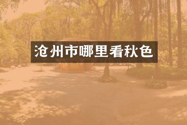沧州市哪里看秋色