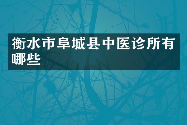 衡水市阜城县中医诊所有哪些