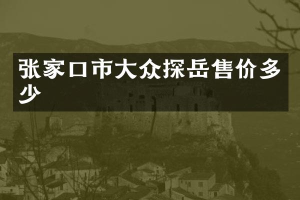 张家口市大众探岳售价多少