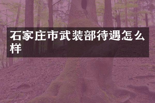 石家庄市武装部待遇怎么样