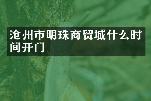沧州市明珠商贸城什么时间开门