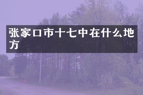 张家口市十七中在什么地方