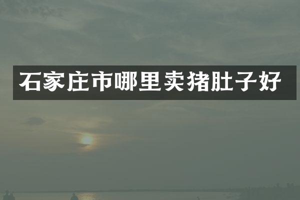 石家庄市哪里卖猪肚子好