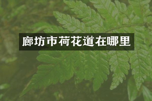 廊坊市荷花道在哪里