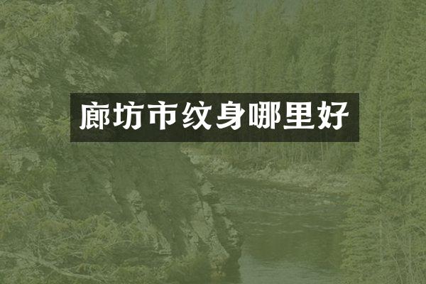 廊坊市纹身哪里好
