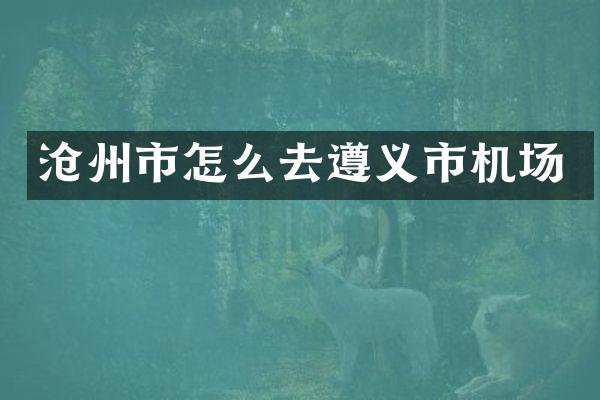 沧州市怎么去遵义市机场