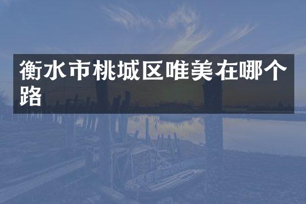 衡水市桃城区唯美在哪个路