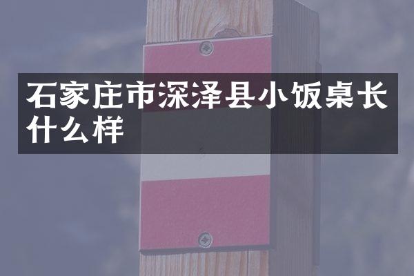 石家庄市深泽县小饭桌长什么样