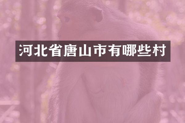 河北省唐山市有哪些村