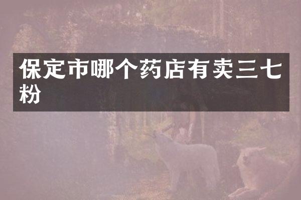保定市哪个药店有卖三七粉