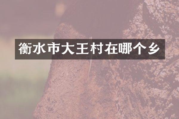 衡水市大王村在哪个乡