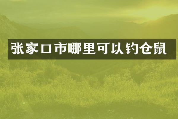 张家口市哪里可以钓仓鼠