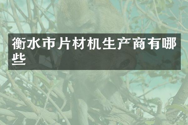 衡水市片材机生产商有哪些