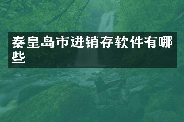 秦皇岛市进销存软件有哪些