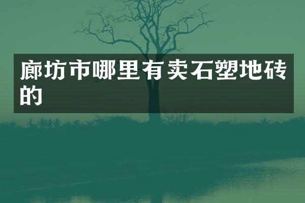 廊坊市哪里有卖石塑地砖的