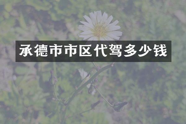承德市市区代驾多少钱