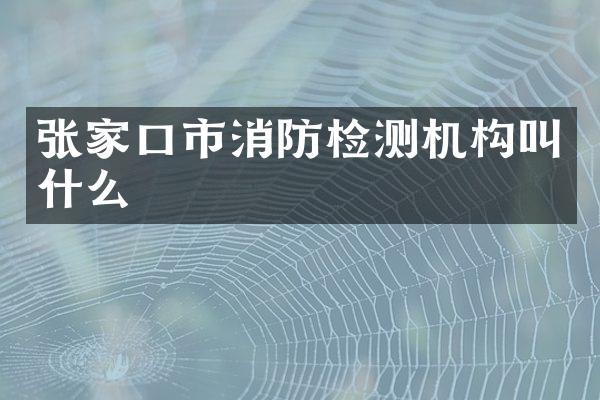 张家口市消防检测机构叫什么
