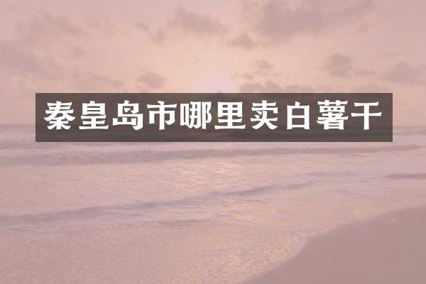 秦皇岛市哪里卖白薯干