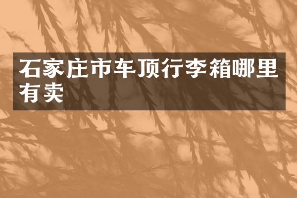 石家庄市车顶行李箱哪里有卖