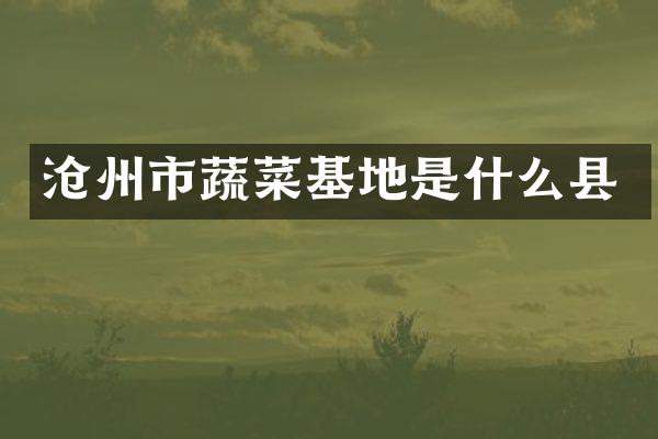 沧州市蔬菜基地是什么县