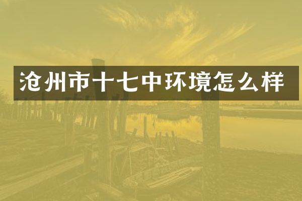 沧州市十七中环境怎么样